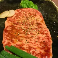 たんぽぽの写真・動画_image_239937