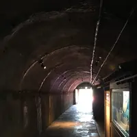 土肥金山の写真・動画_image_240106