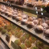 小田急エースの写真・動画_image_240258