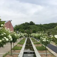 花フェスタ記念公園の写真・動画_image_240401