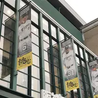 阪神甲子園球場の写真・動画_image_240431