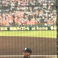 阪神甲子園球場の写真・動画_image_240432