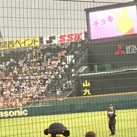 阪神甲子園球場の写真・動画_image_240433
