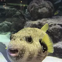 ムーンビーチの写真・動画_image_240659