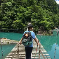 夢の吊橋の写真・動画_image_240811