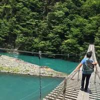 夢の吊橋の写真・動画_image_240812