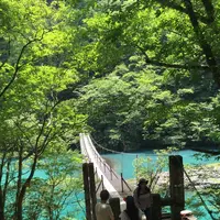 夢の吊橋の写真・動画_image_240813