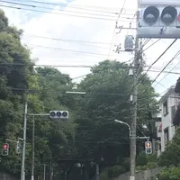 桜坂の写真・動画_image_241012
