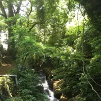 來宮神社の写真・動画_image_241036