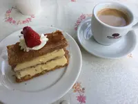 えの木ていの写真・動画_image_241082