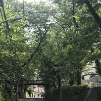 桜坂の写真・動画_image_241184