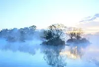 江津湖の写真・動画_image_241208