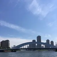 東京湾クルージングの写真・動画_image_241439