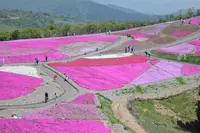 茶臼山高原の写真・動画_image_241635