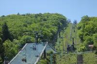 茶臼山高原の写真・動画_image_241636