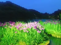 三溪園の写真・動画_image_241888