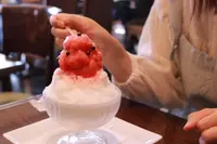 レニエの写真・動画_image_241906