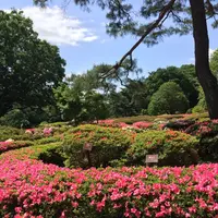 神代植物公園の写真・動画_image_242384