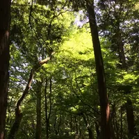 神代植物公園の写真・動画_image_242386