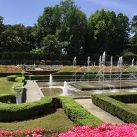 神代植物公園の写真・動画_image_242388