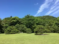 伊勢神宮内宮（皇大神宮）の写真・動画_image_242507