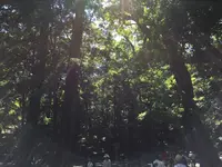 伊勢神宮内宮（皇大神宮）の写真・動画_image_242521