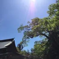 伊勢神宮内宮（皇大神宮）の写真・動画_image_242523