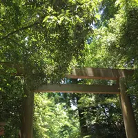 伊勢神宮外宮（豊受大神宮）の写真・動画_image_242543