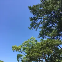 伊勢神宮外宮（豊受大神宮）の写真・動画_image_242545