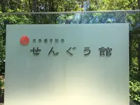 伊勢神宮外宮（豊受大神宮）の写真・動画_image_242553