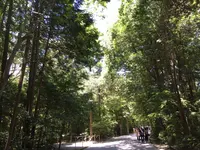 伊勢神宮外宮（豊受大神宮）の写真・動画_image_242554