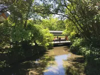 伊勢神宮外宮（豊受大神宮）の写真・動画_image_242555