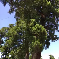 伊勢神宮外宮（豊受大神宮）の写真・動画_image_242564