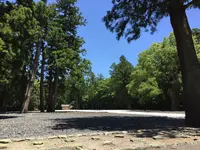 伊勢神宮外宮（豊受大神宮）の写真・動画_image_242566