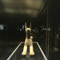 香港科学館の写真・動画_image_242651