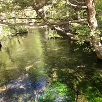 上高地の写真・動画_image_242782