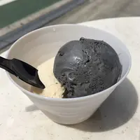 GOMAYA KUKI（ごまや くき）の写真・動画_image_242783