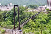 鬼怒楯岩大吊橋の写真・動画_image_242874