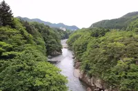 鬼怒楯岩大吊橋の写真・動画_image_242875