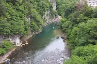 鬼怒楯岩大吊橋の写真・動画_image_242876