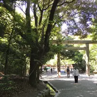 熱田神宮の写真・動画_image_243224