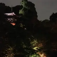 椿山荘 庭園の写真・動画_image_243345