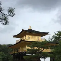金閣寺（鹿苑寺）の写真・動画_image_243552