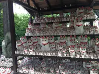 豪徳寺の写真・動画_image_244513