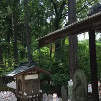 豪徳寺の写真・動画_image_244514