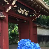 本光寺の写真・動画_image_244538