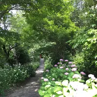 本光寺の写真・動画_image_244539