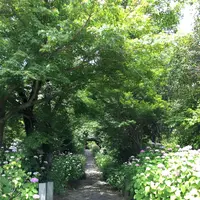 本光寺の写真・動画_image_244543