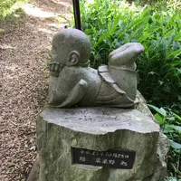 本光寺の写真・動画_image_244545