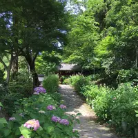 本光寺の写真・動画_image_244547